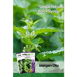 100 Adet Isırgan (urtica Dioica) Tohumu