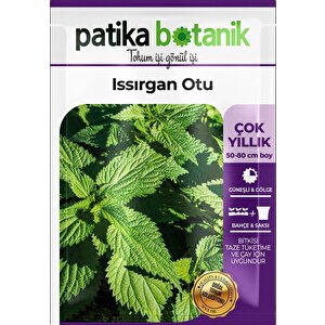 100 Adet Isırgan (urtica Dioica) Tohumu