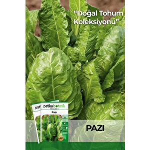 500 Adet Geniş Yaprak Pazı Tohumu