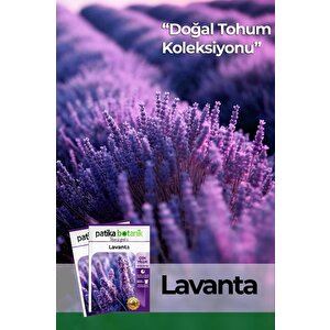 100 Adet Lavanta (lavandula) Çiçek Tohumu