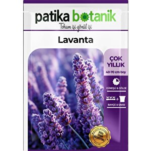 100 Adet Lavanta (lavandula) Çiçek Tohumu