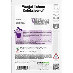 100 Adet Lavanta (lavandula) Çiçek Tohumu