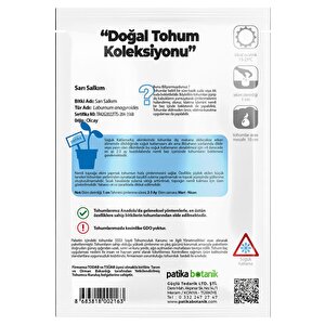 20 Adet Sarı Salkım Ağaç Tohumu