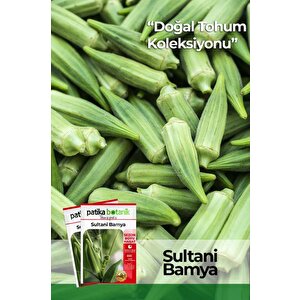 80 Adet Yerli Ata Sultani Bamya Tohumu
