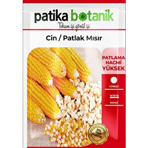 50 Adet Cin Mısır Tohumu