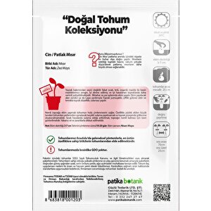 50 Adet Cin Mısır Tohumu