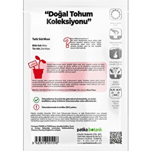 50 Adet Tatlı Mısır Tohumu