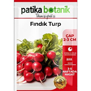 500 Adet Fındık Turp Tohumu