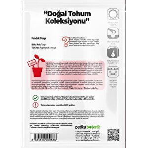 500 Adet Fındık Turp Tohumu