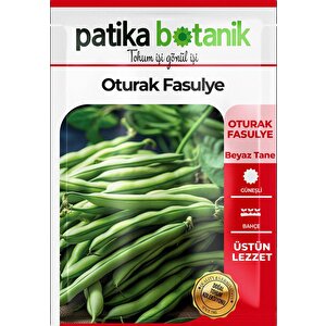 40 Adet Yerli Ata Oturak Fasulye Tohumu