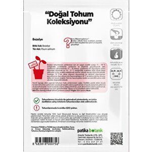 50 Adet Taze Bezelye Tohumu (utrillo, Araka)