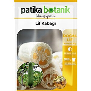5 Adet Lif Kabağı Tohumu Kabak Tohumu