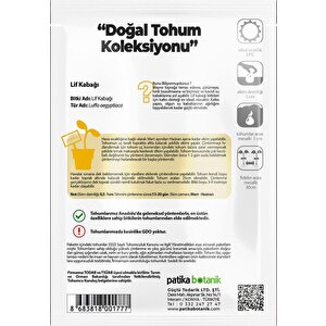 5 Adet Lif Kabağı Tohumu Kabak Tohumu