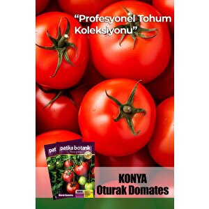 10 Adet Konya Domates Tohumu