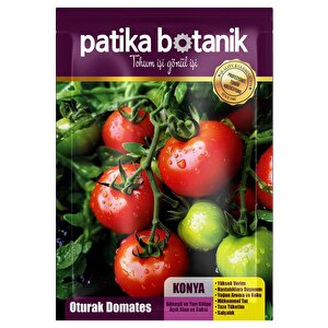 10 Adet Konya Domates Tohumu