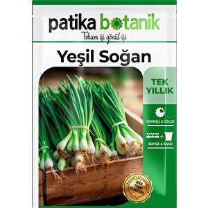500 Adet Yeşil Soğan Tohumu