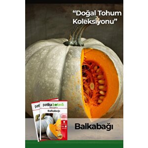 15 Adet Balkabağı Tohumu