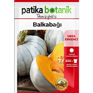 15 Adet Balkabağı Tohumu