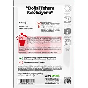15 Adet Balkabağı Tohumu