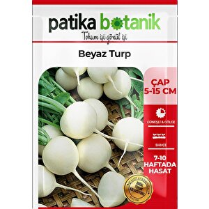 500 Adet Beyaz Turp Tohumu