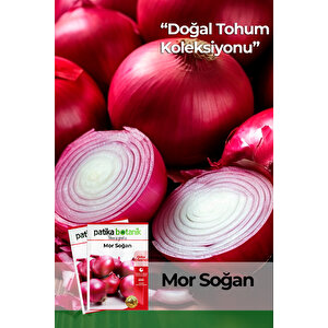 500 Adet Mor Soğan Tohumu