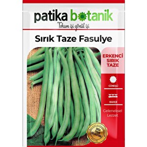 40 Adet Yerli Ata Sırık Fasulye Tohumu (mine)