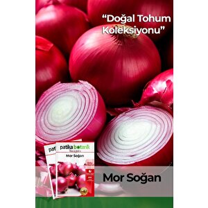 450 Adet Yerli Ata Mor Soğan Tohumu