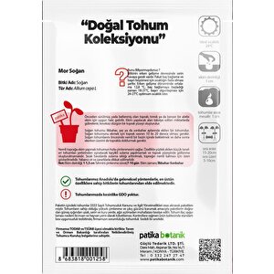 450 Adet Yerli Ata Mor Soğan Tohumu