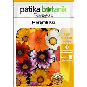 20 Adet Meramlı Kız (gazania Splendens) Çiçek Tohumu