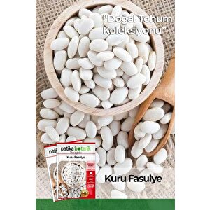 50 Adet Kuru Fasulye Tohumu