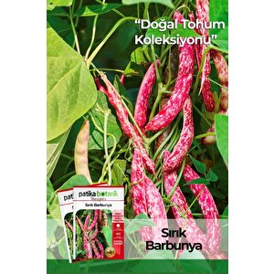 50 Adet Sırık Barbunya Tohumu (selim)