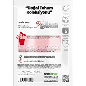 50 Adet Sırık Barbunya Tohumu (selim)
