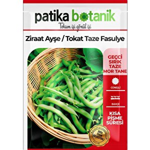 50 Adet Ziraat Ayşe Sırık Fasülye Tohumu