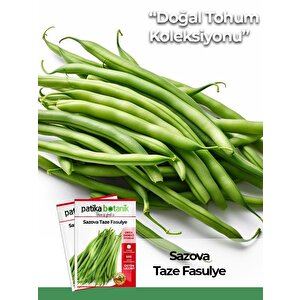 50 Adet Sazova Fasulye Tohumu