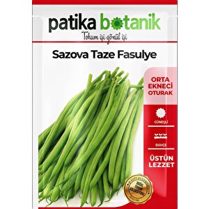 50 Adet Sazova Fasulye Tohumu
