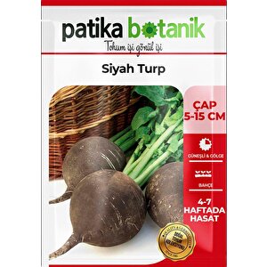 500 Adet Siyah Turp Tohumu