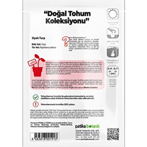 500 Adet Siyah Turp Tohumu