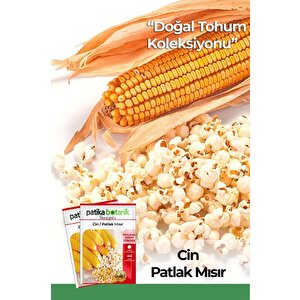 40 Adet Ata Tohumu Yerli Cin Mısır (popcorn)