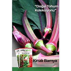 80 Adet Yerli Ata Kınalı Bamya Tohumu