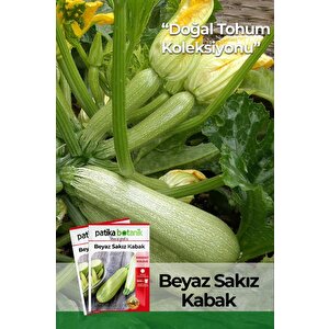 25 Adet Beyaz Sakız Kabak Tohumu
