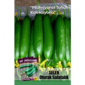 10 Adet Se*len Salatalık Tohumu ( Erkenci, Dişi Çiçek)