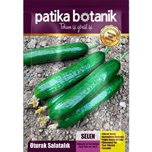 10 Adet Se*len Salatalık Tohumu ( Erkenci, Dişi Çiçek)