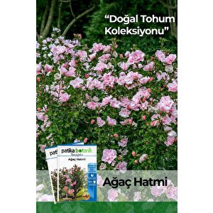 20 Adet Ağaç Hatmi Tohumu