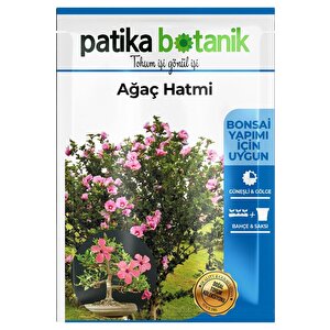 20 Adet Ağaç Hatmi Tohumu