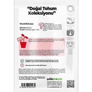 50 Adet Oturak Barbunya Tohumu (selim)