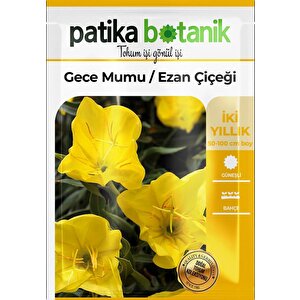 100 Adet Ezan Çiçeği (oenothera) Çiçek Tohumu