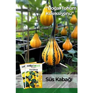 15 Adet Süs Kabağı Tohumu