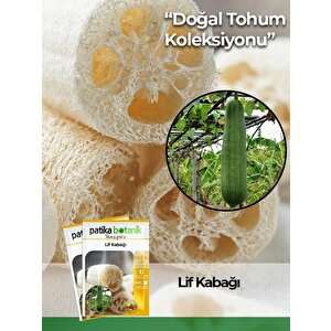 5 Adet Yerli Ata Lif Kabağı Tohumu Kabak Tohumu