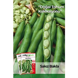 50 Adet Sakız Bakla Tohumu