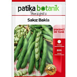 50 Adet Sakız Bakla Tohumu